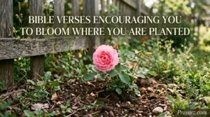 Bible Verses Encouraging You to Bloom Where You Are Planted